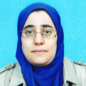 Sonia Boudjabi, Speaker at 






Geology Conferences 2023
